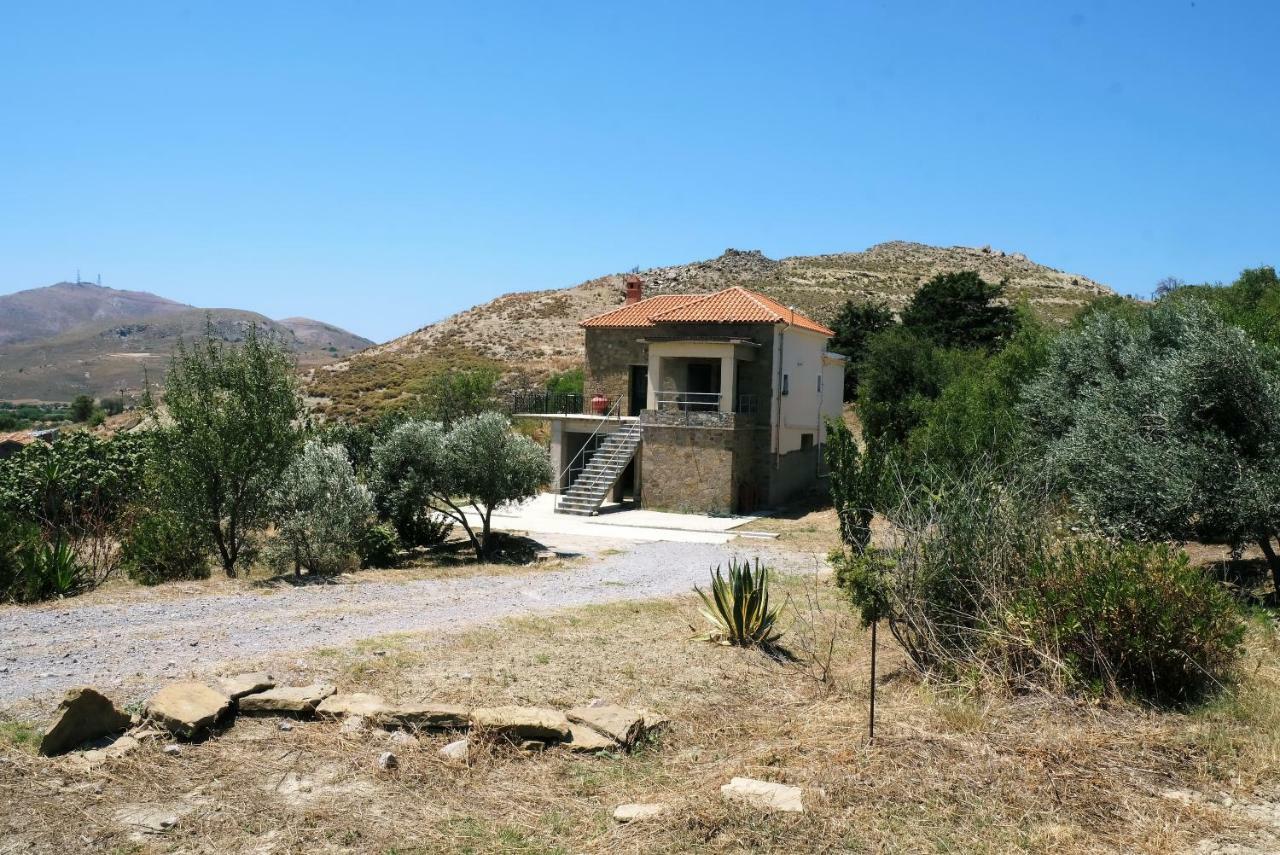 Stone House Of Panos Villa Kornos Kültér fotó