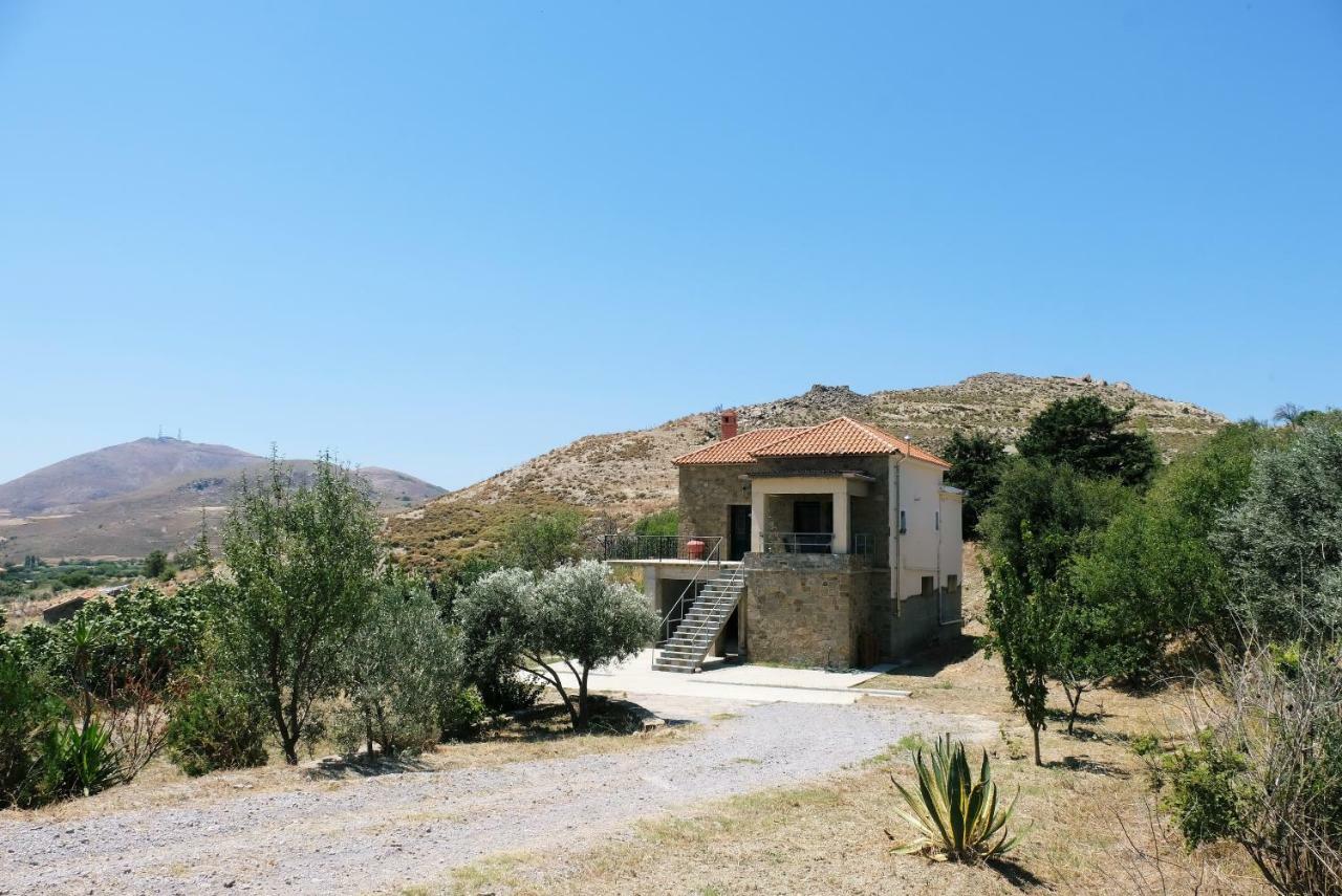 Stone House Of Panos Villa Kornos Kültér fotó